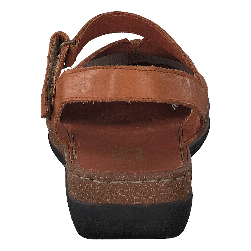 483-5416 Cognac